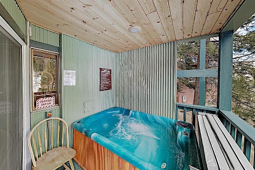 New Listing! Ski-In/Ski-Out Condo w/ Hot Tub condo